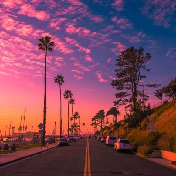 Meet your Posher, Rachael - Picture 3 of 3